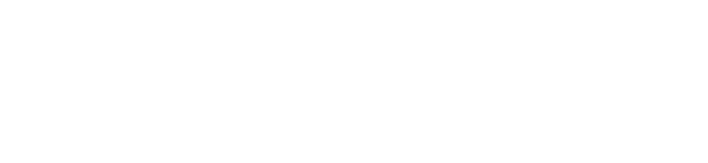 LG Business Solutions_logo_REV